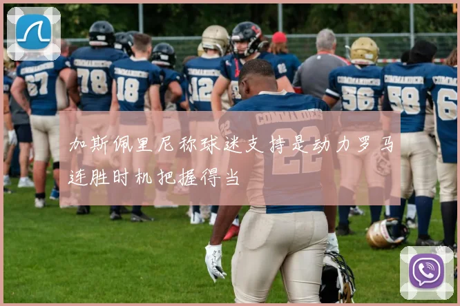 加斯佩里尼称球迷支持是动力罗马连胜时机把握得当