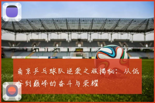 南京乒乓球队逆袭之旅揭秘：从低谷到巅峰的奋斗与荣耀